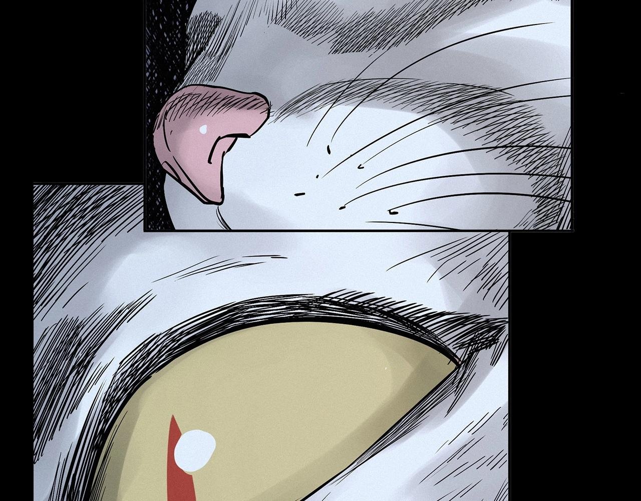 第412话 双瞳猫