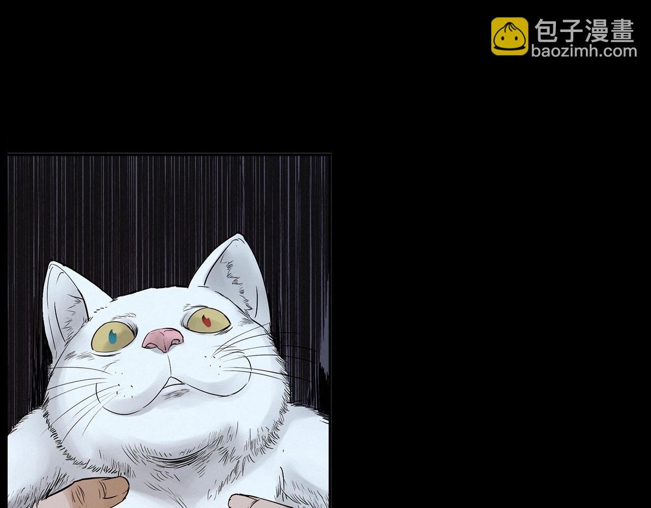 第412话 双瞳猫