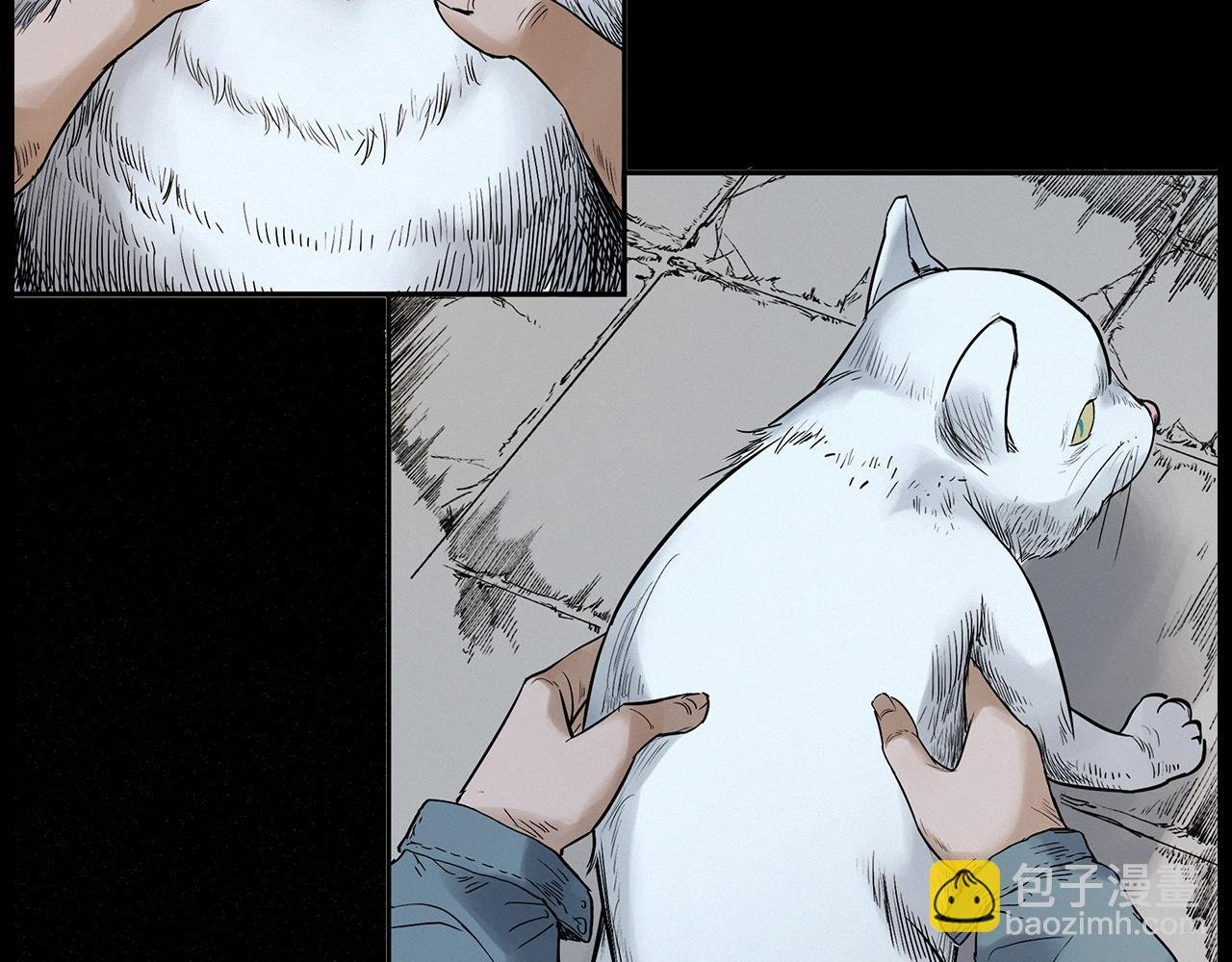 第412话 双瞳猫