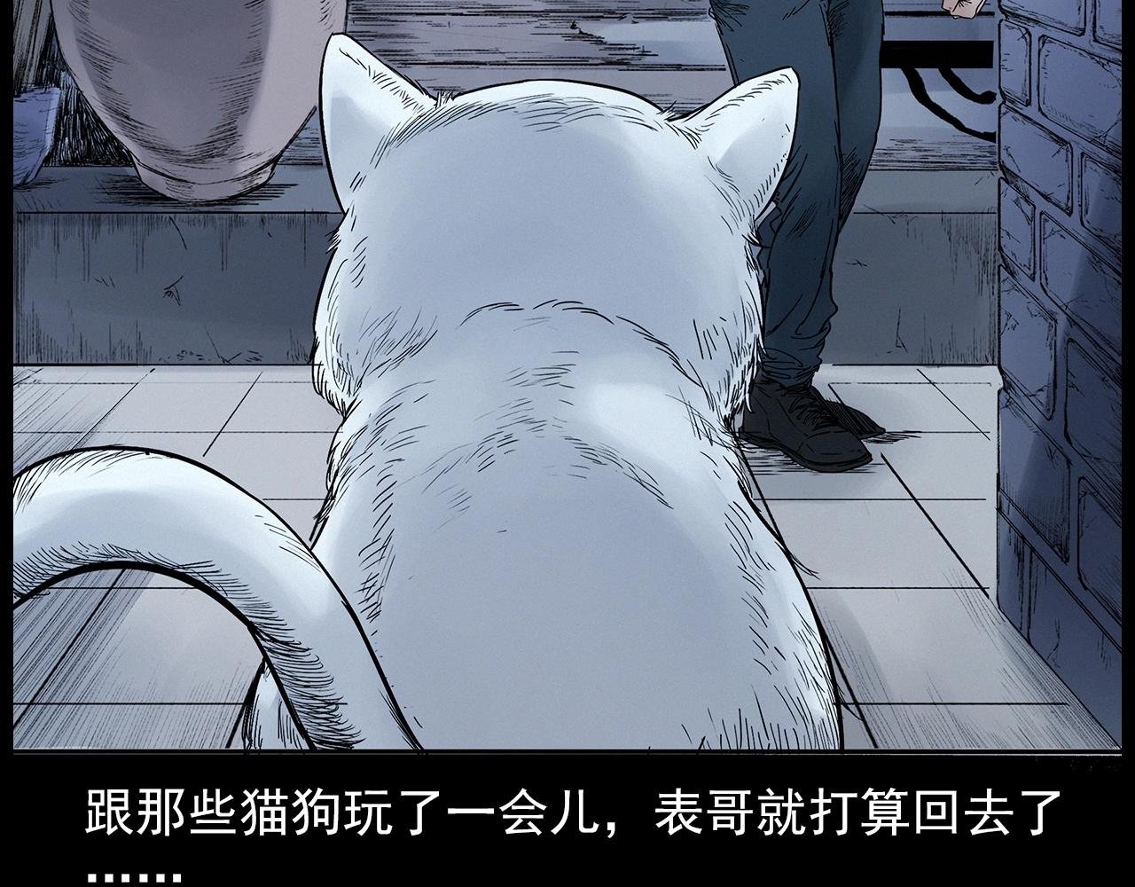 第412话 双瞳猫