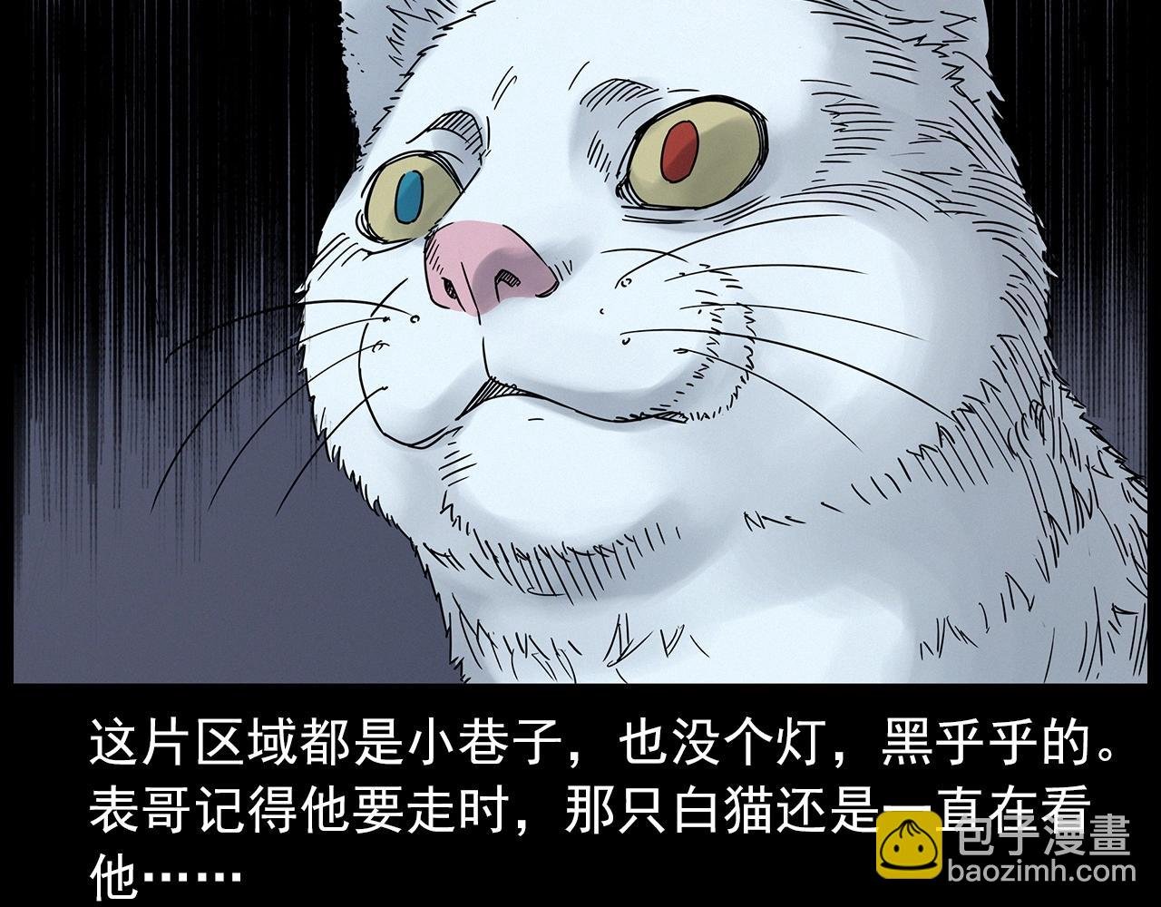 第412话 双瞳猫