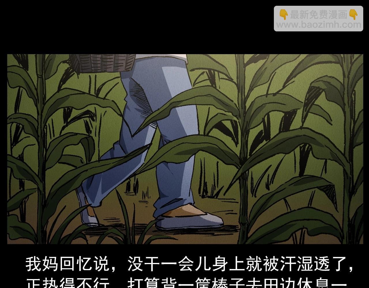 第415话 玉米地里的人