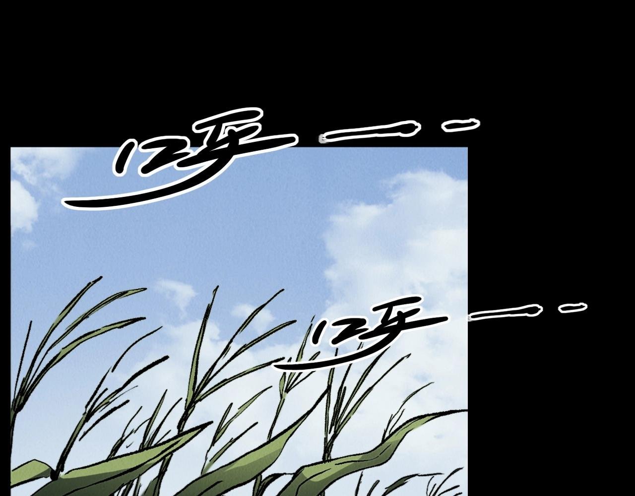 第415话 玉米地里的人