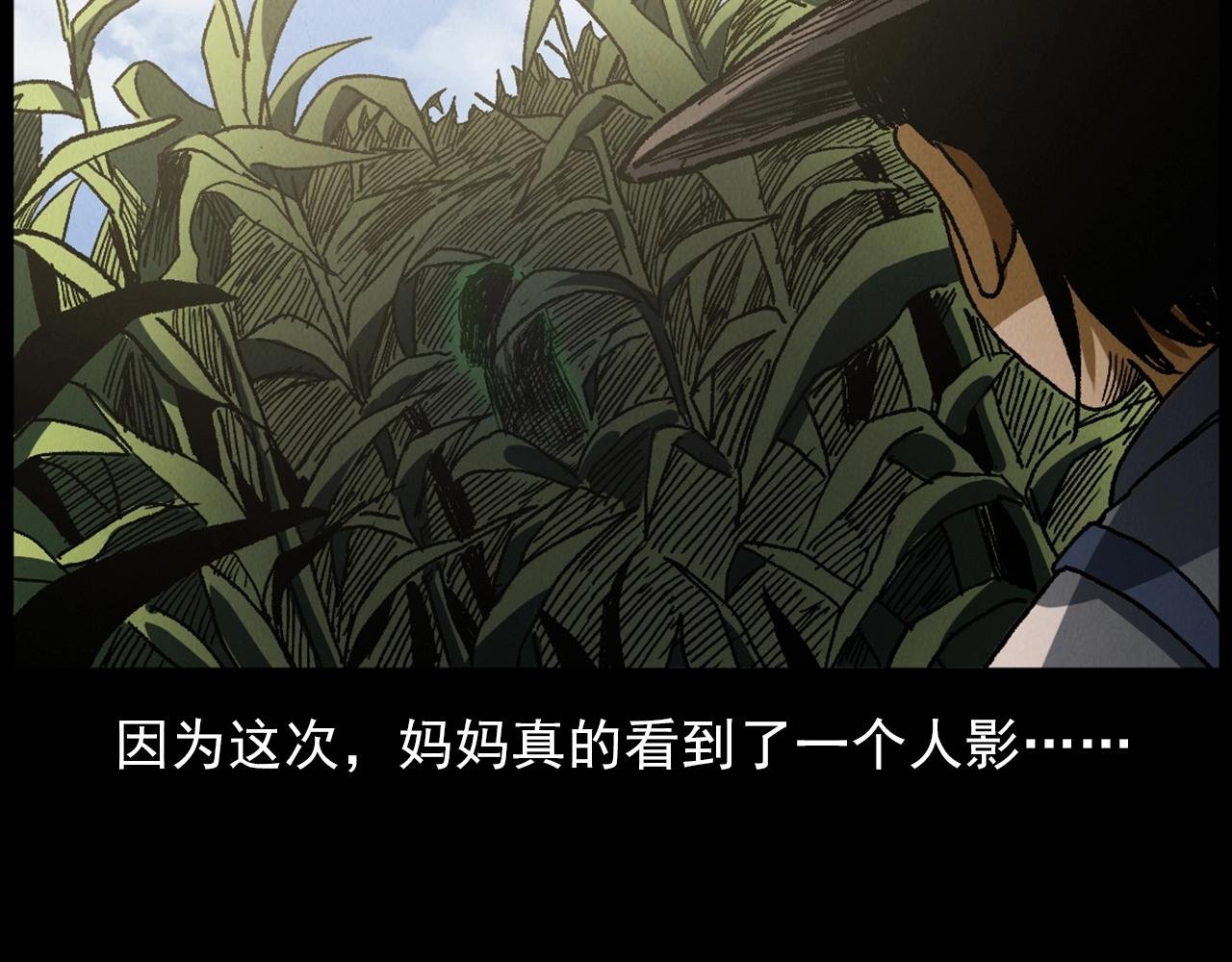 第415话 玉米地里的人