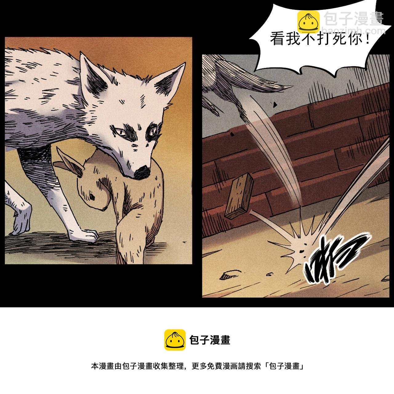 第421话 白狐