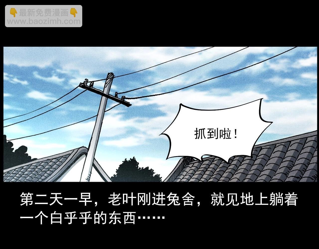 第421话 白狐
