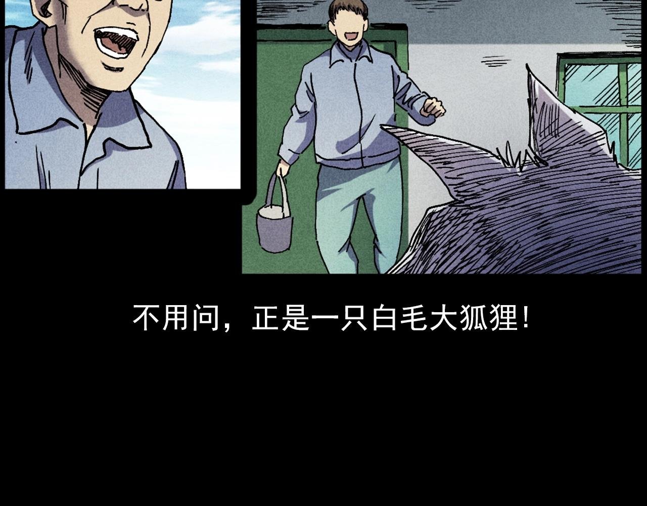 第421话 白狐