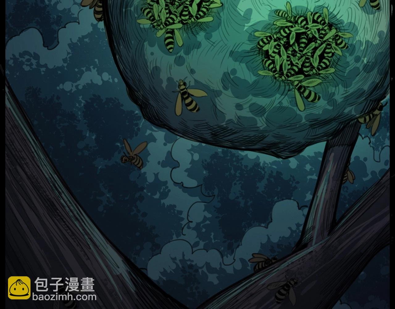 441话 蜂窝
