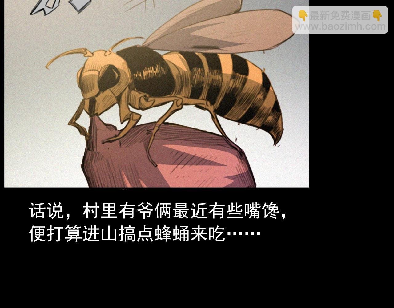 441话 蜂窝