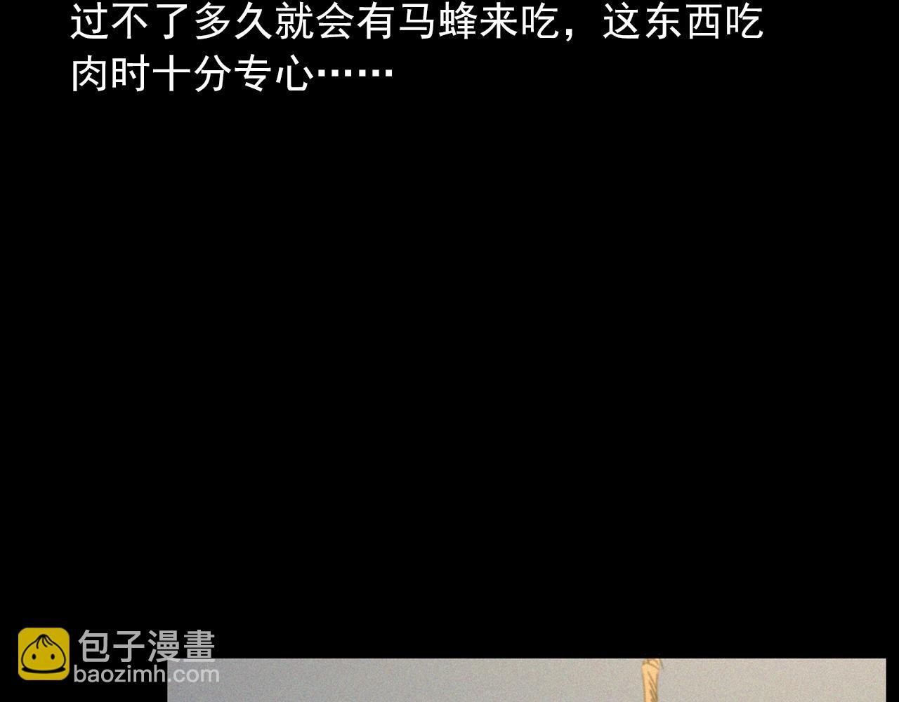 441话 蜂窝