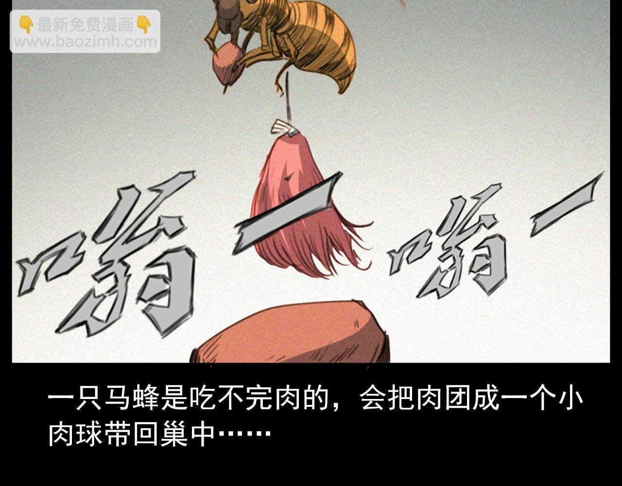 441话 蜂窝