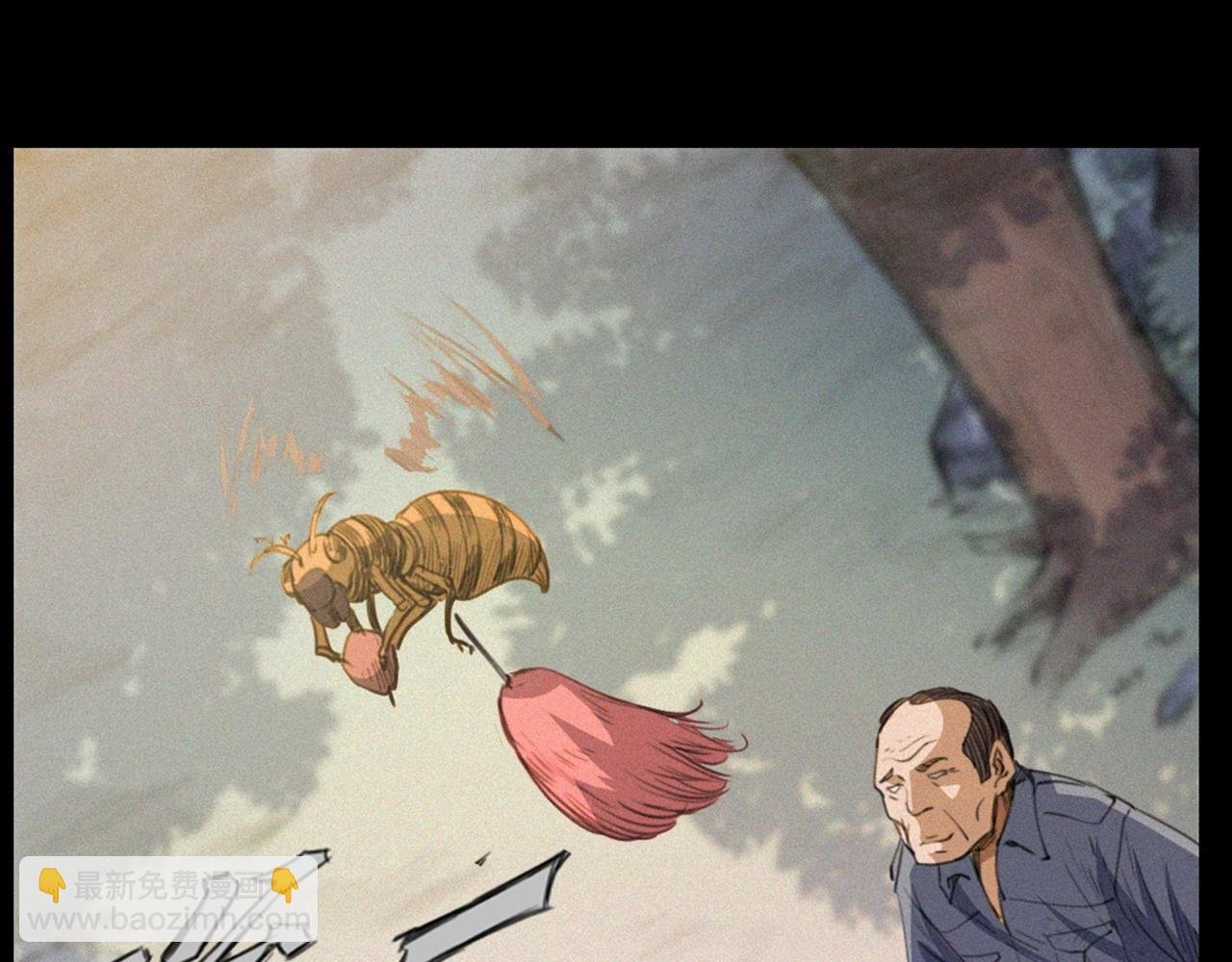 441话 蜂窝