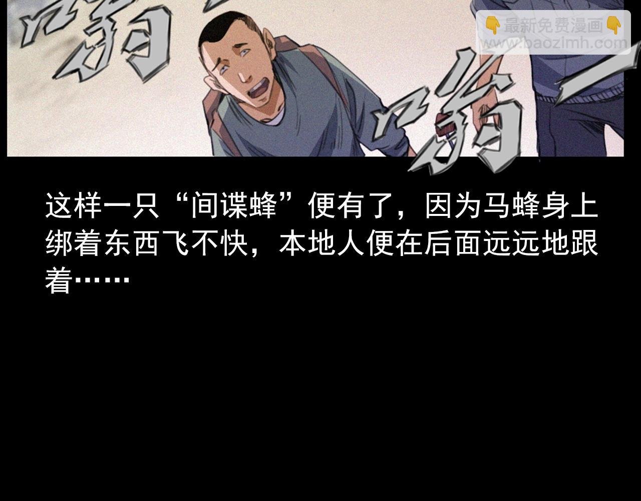 441话 蜂窝
