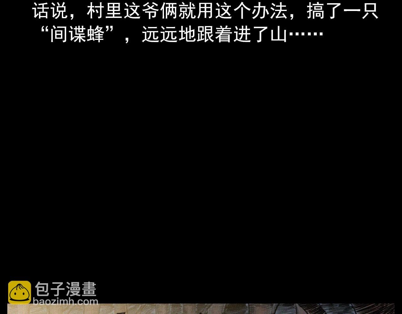 441话 蜂窝