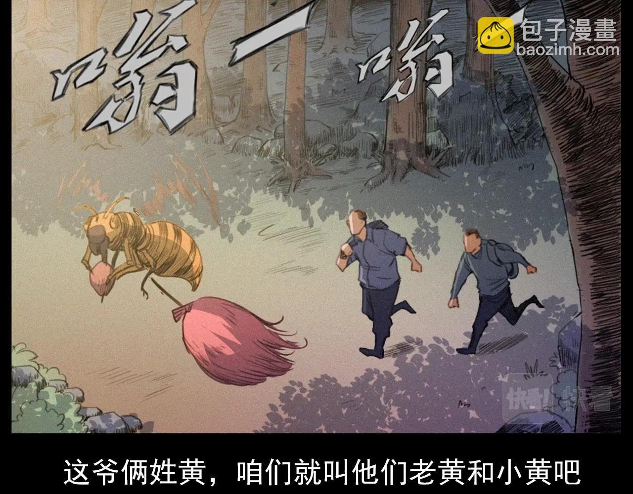 441话 蜂窝