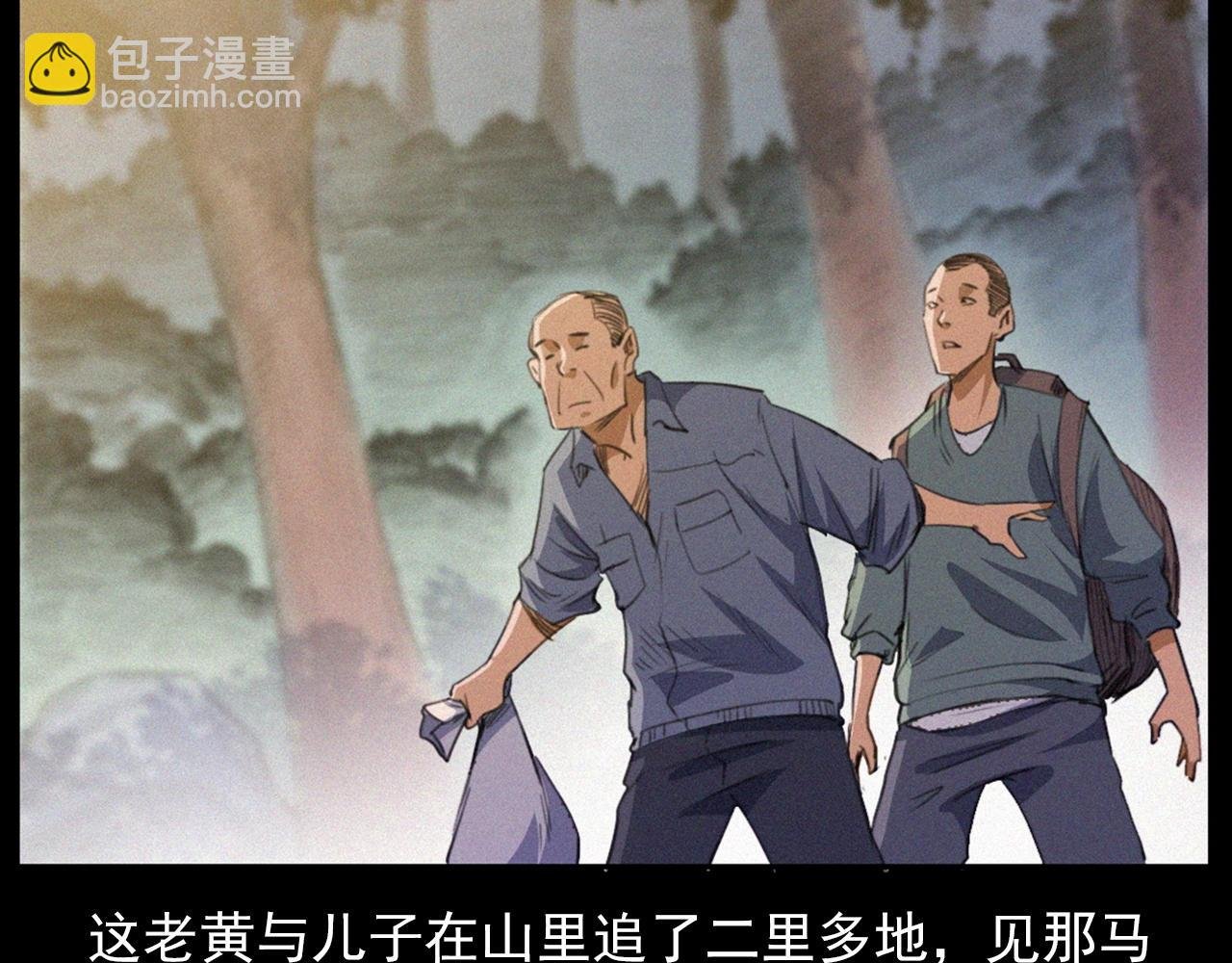 441话 蜂窝