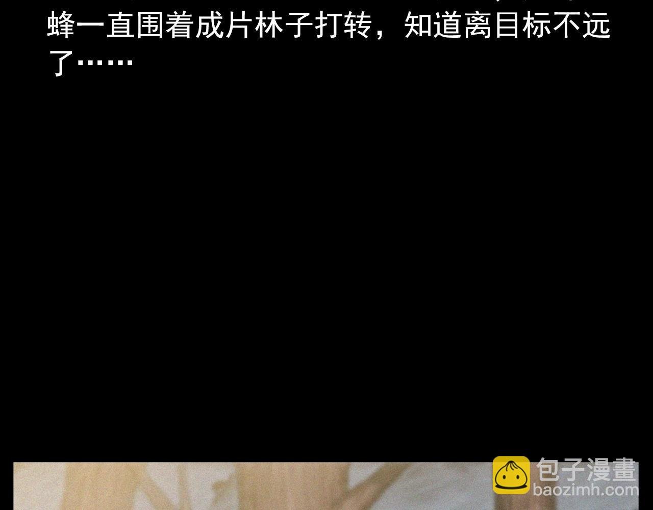 441话 蜂窝