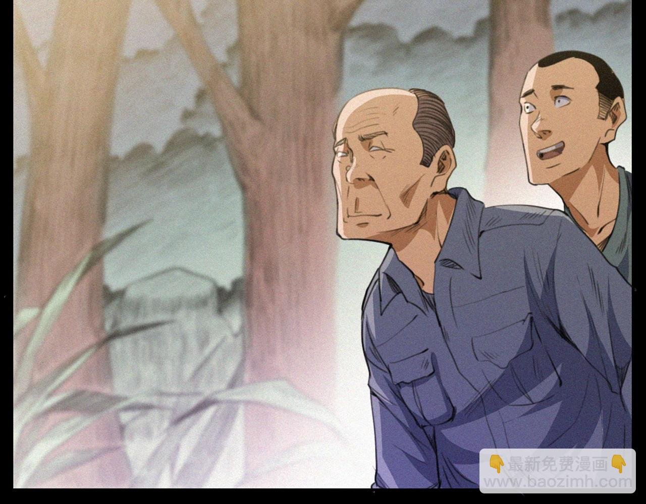 441话 蜂窝