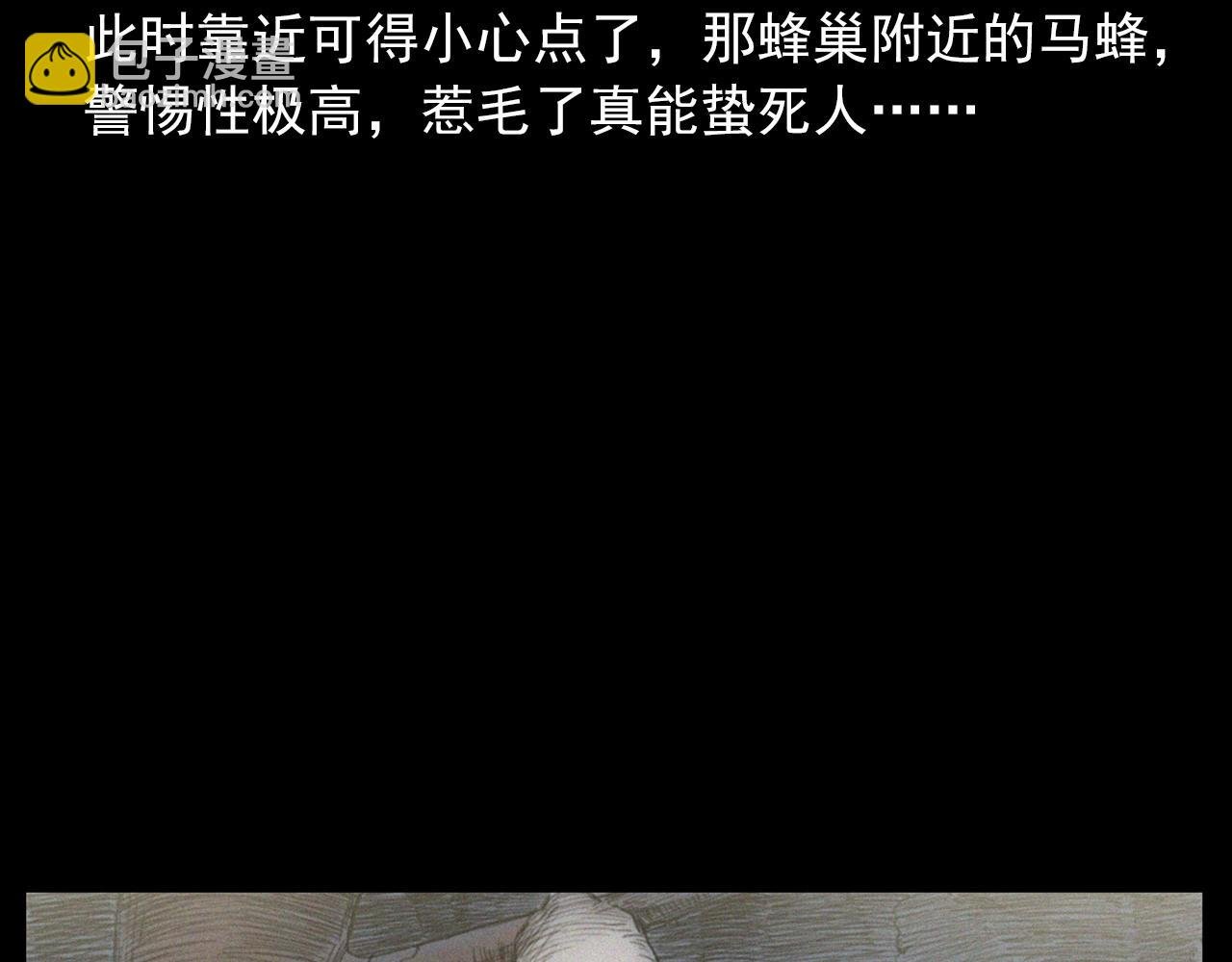 441话 蜂窝