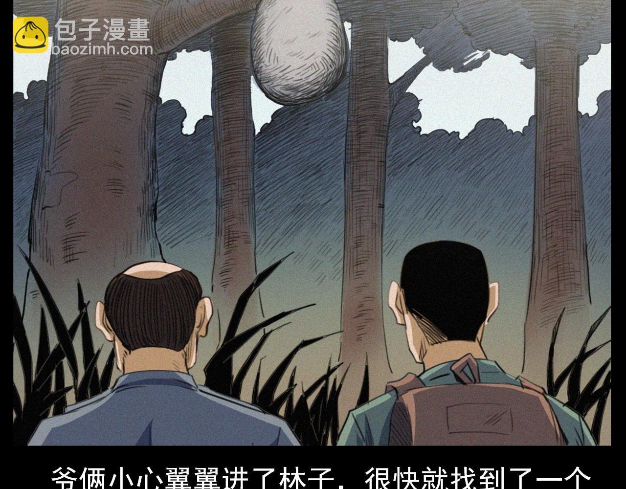 441话 蜂窝