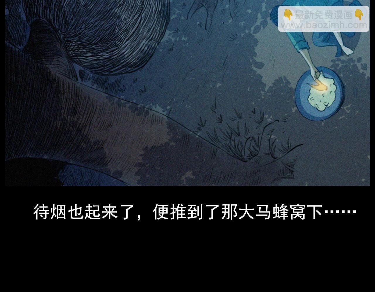 441话 蜂窝
