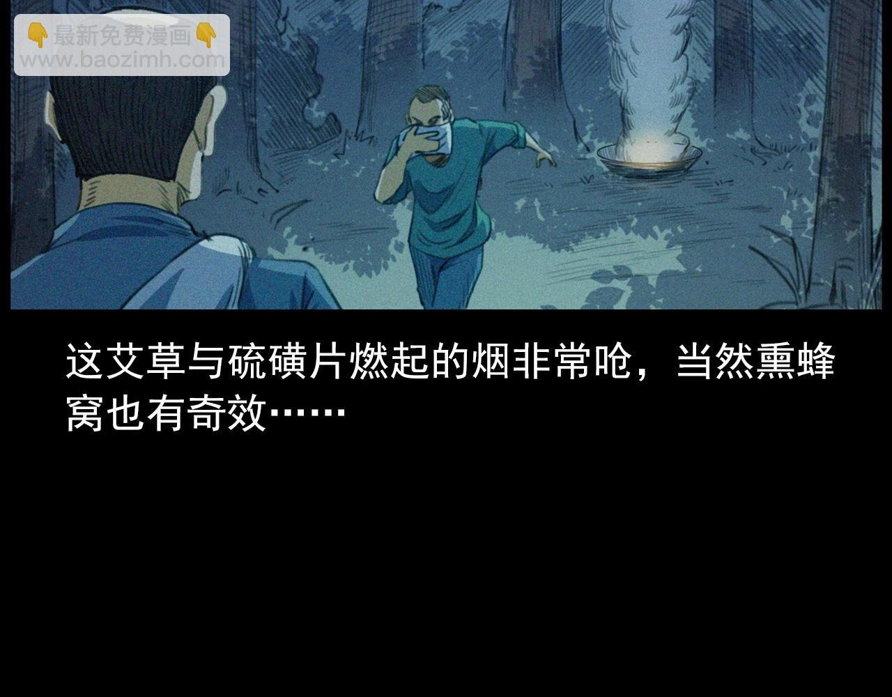 441话 蜂窝