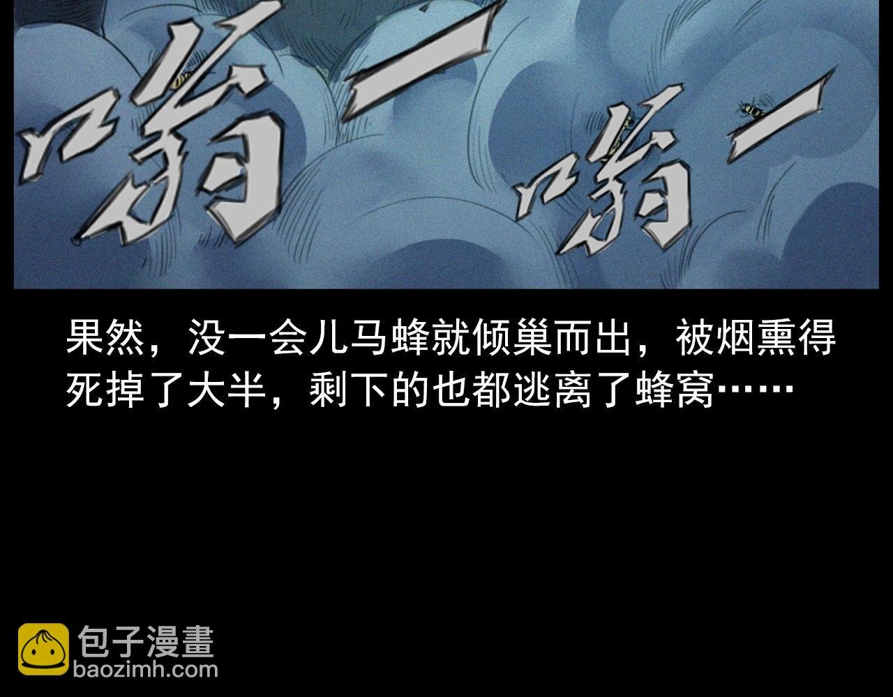441话 蜂窝