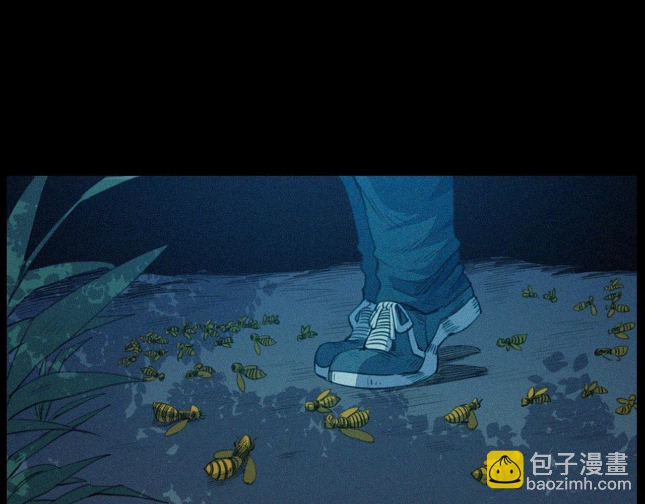 441话 蜂窝