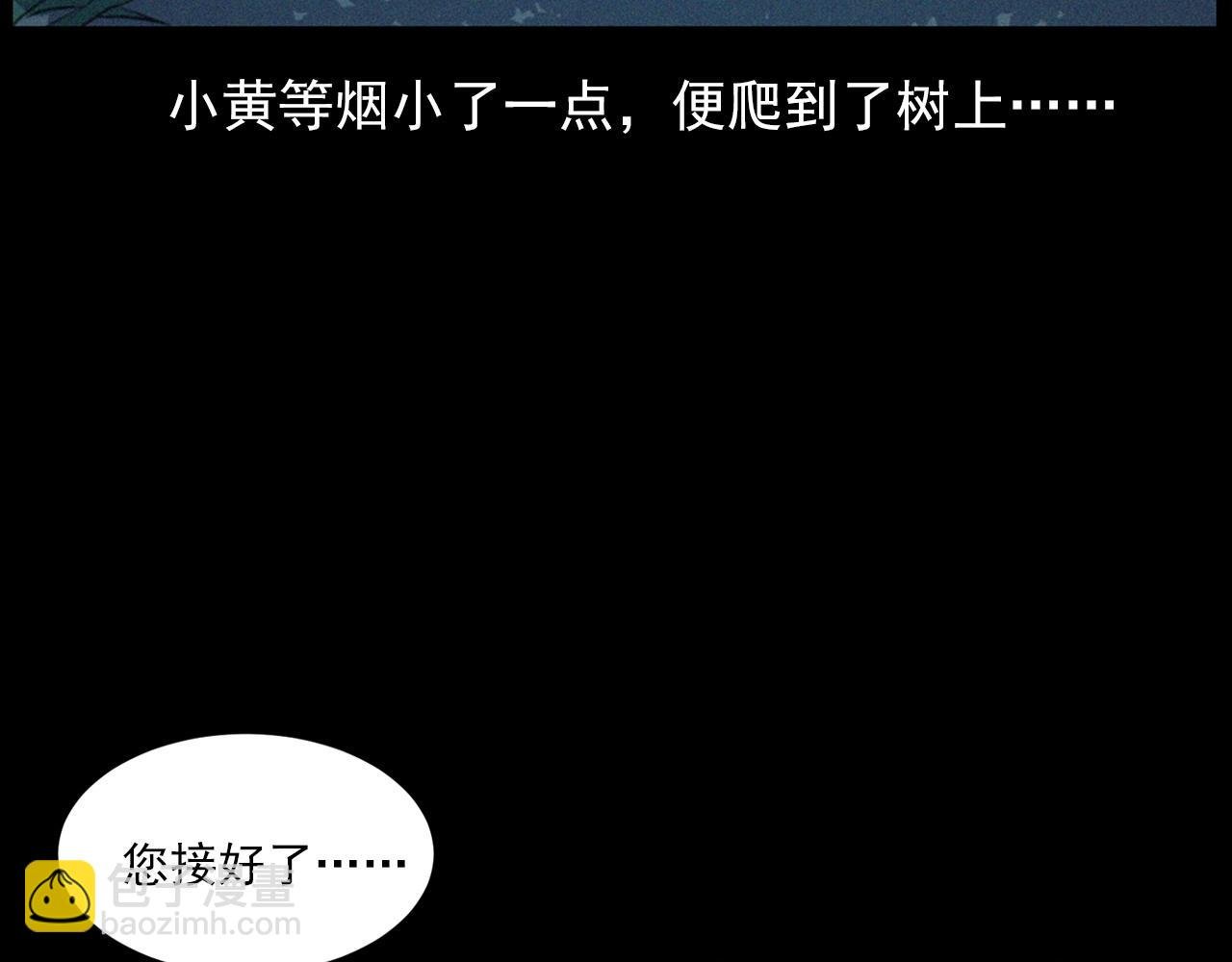 441话 蜂窝
