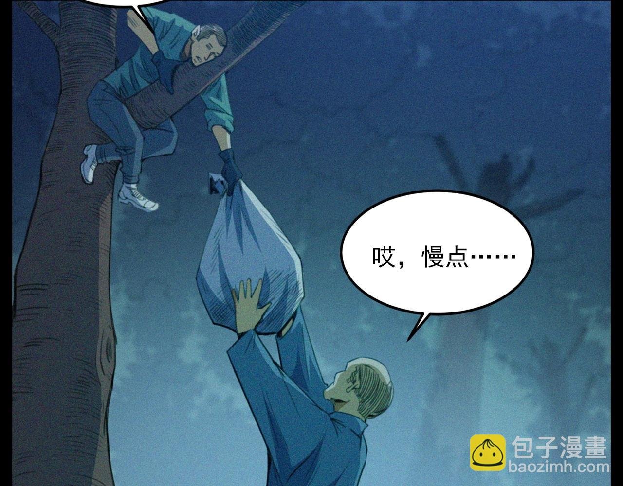 441话 蜂窝