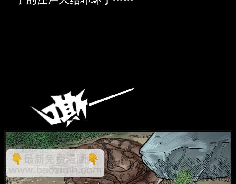 第8话 大蛇的报复