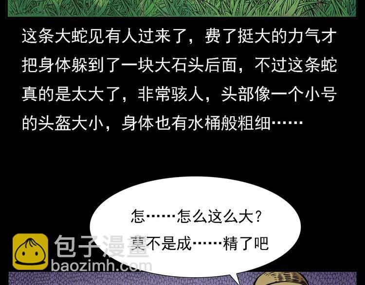 第8话 大蛇的报复
