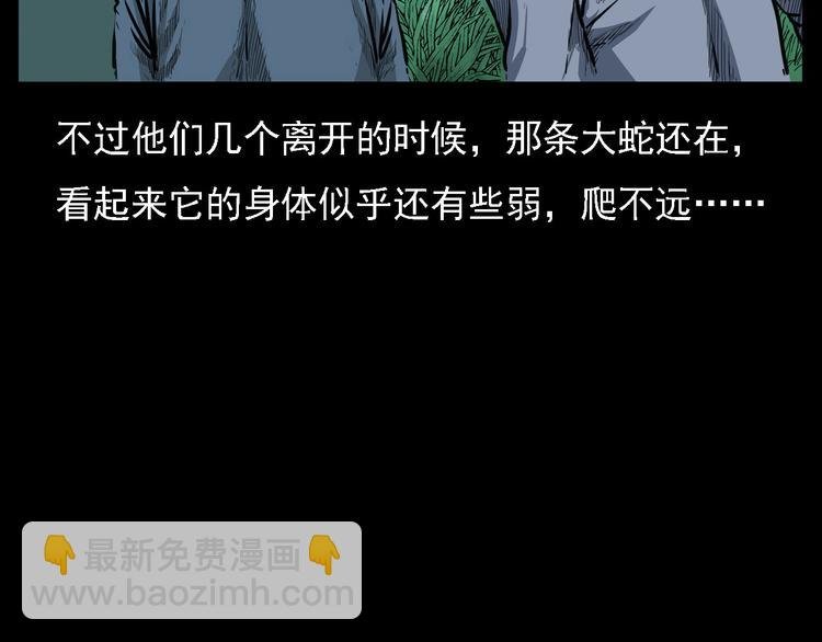第8话 大蛇的报复