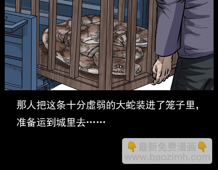 第8话 大蛇的报复