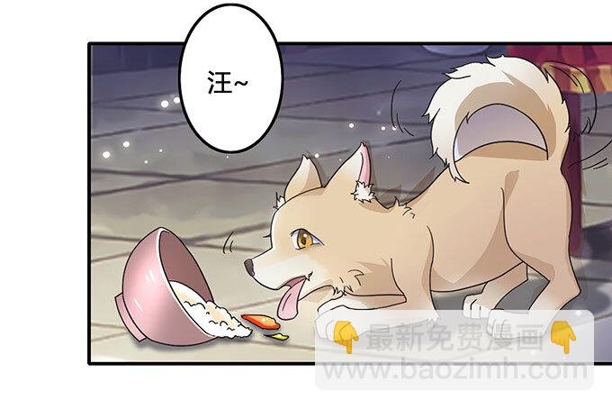 11 冤家路窄