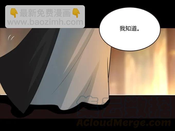 163 苏梨的抉择