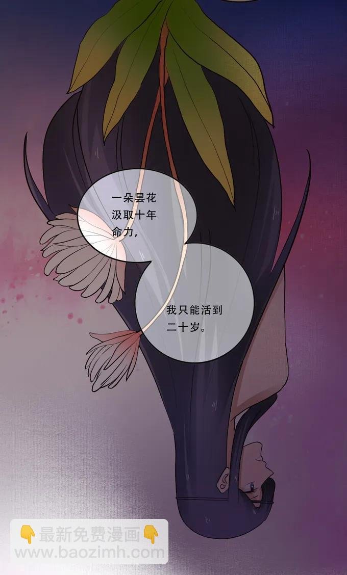 192 朝露昙华