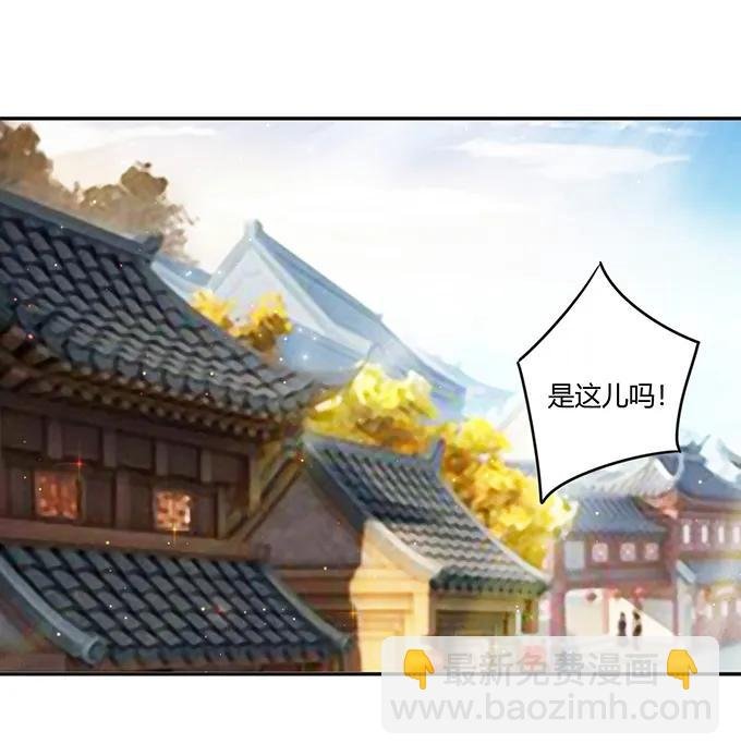 233 追星赢家