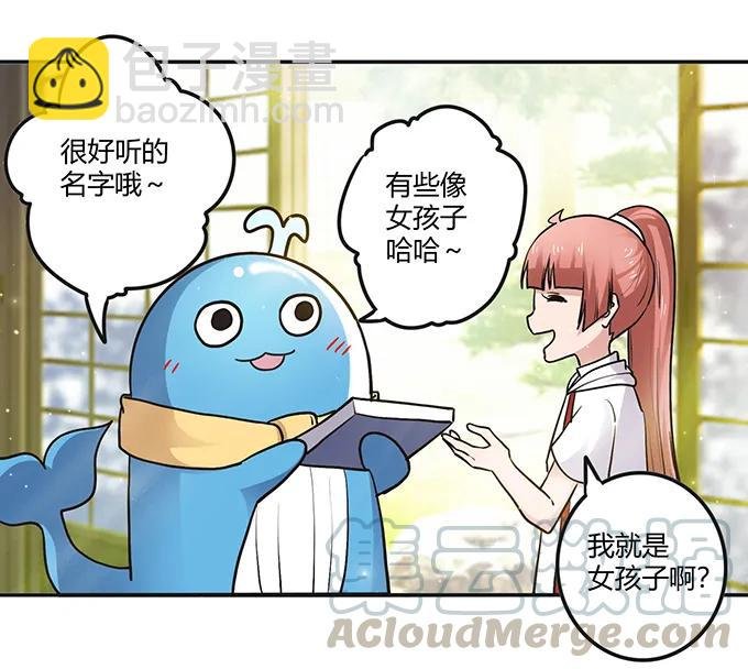 233 追星赢家