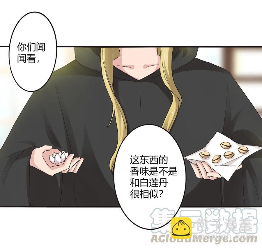 263 白莲丹