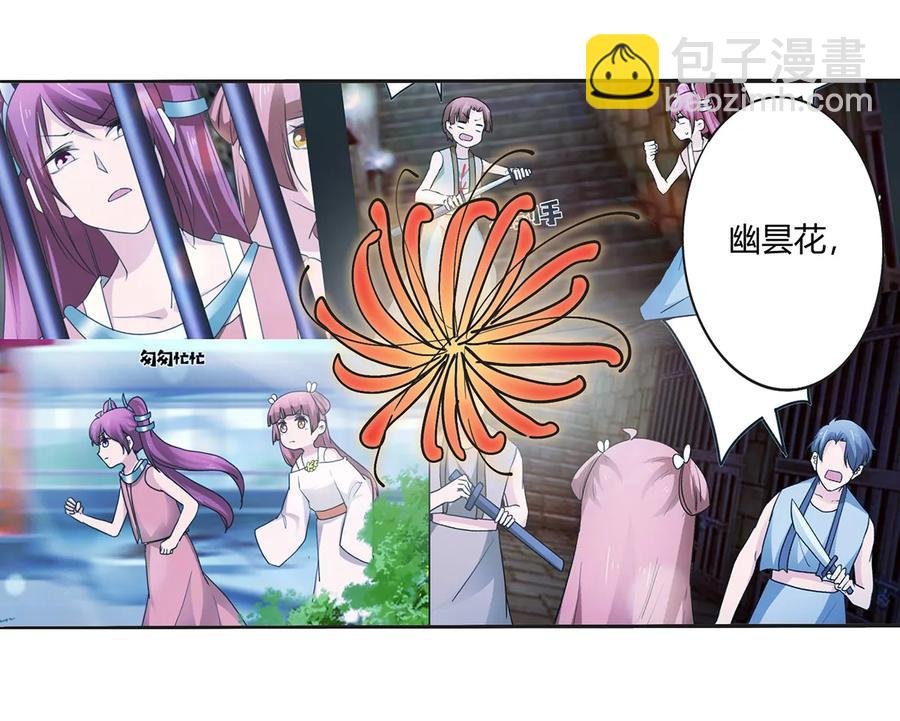 273 朝露昙华是如何炼成的