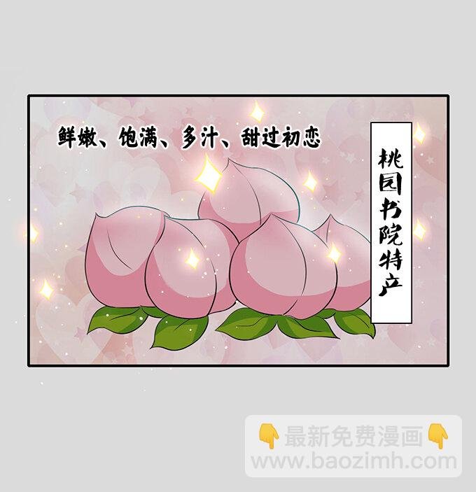 31 公布