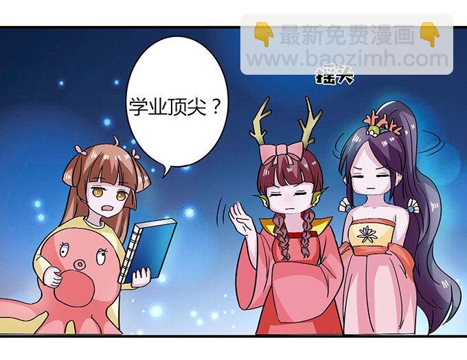 31 公布
