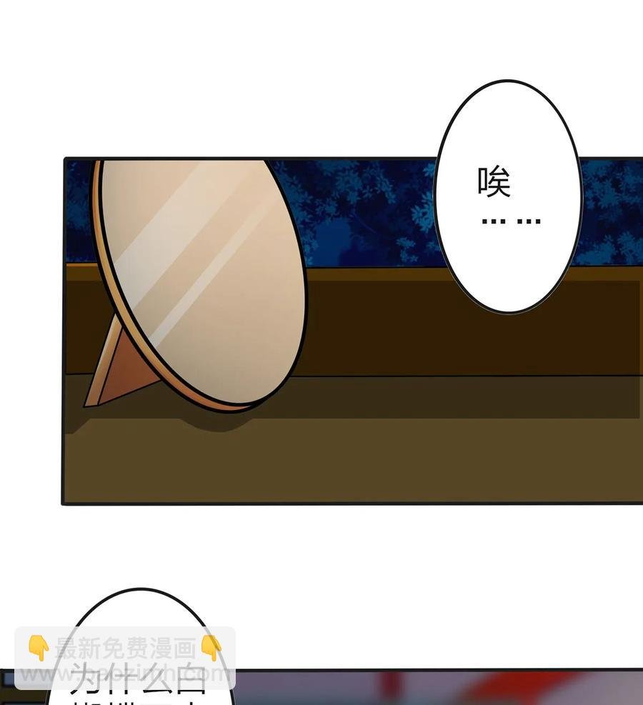 341 白蝴蝶