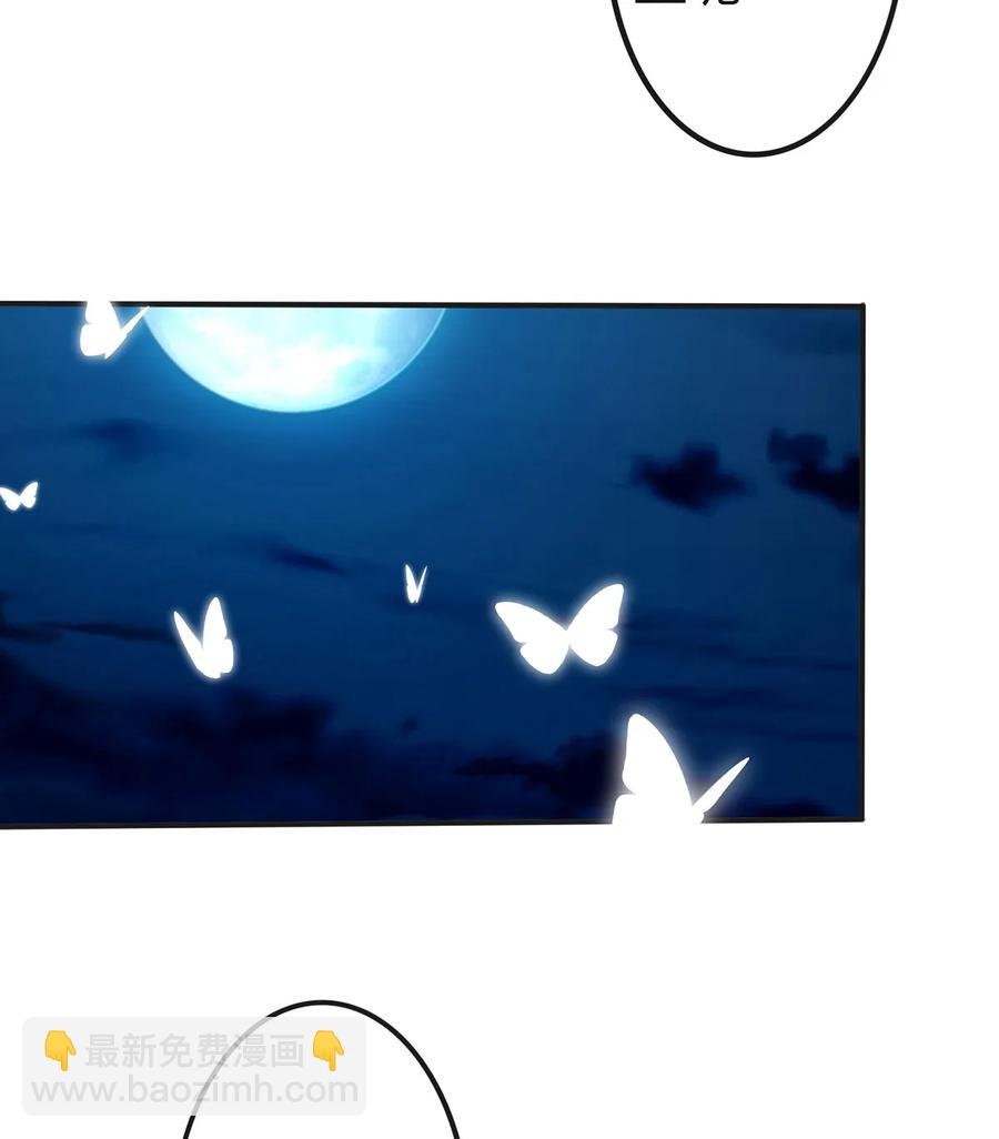 341 白蝴蝶