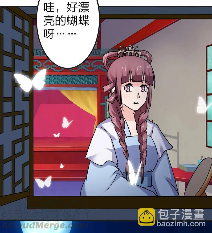 341 白蝴蝶