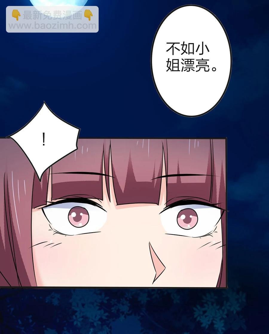 341 白蝴蝶