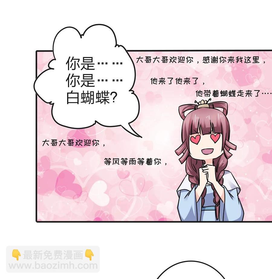 341 白蝴蝶