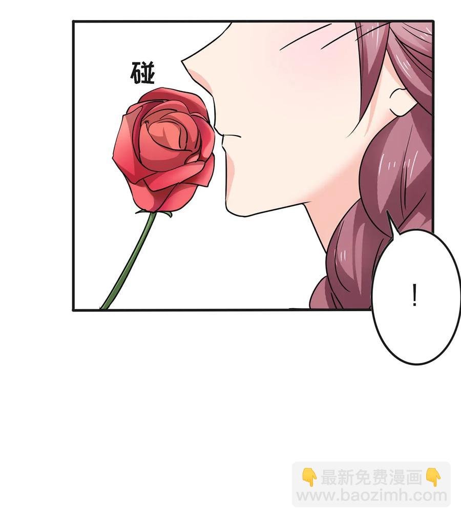 341 白蝴蝶