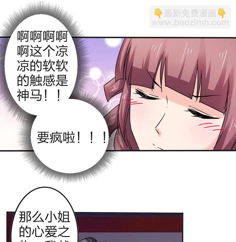 341 白蝴蝶
